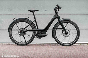 Electric Bike 1 20%